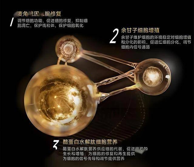 icmarket官网外汇定州市开展城区背街小巷整治现场观摩活动